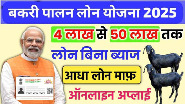 Bakri Palan Loan Kaise Milega: बकरी पालन लोन कैसे लें, आवेदन कैसे करें, पात्रता, दस्तावेज 2025