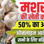 मशरूम बिज़नेस कैसे शुरू करें? | मशरूम की खेती से हर महीने कमाएं लाखों